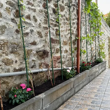 Sobreira Stone Peso da Régua
