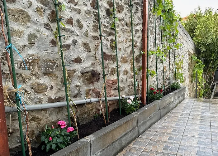 Sobreira Stone Peso da Régua